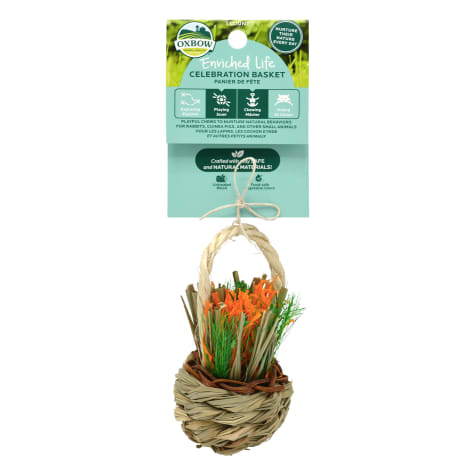 Oxbow Enriched Life Celebration Basket for Guinea Pig
