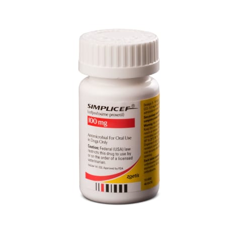 Simplicef 100 mg