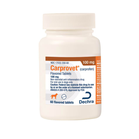 Carprovet (Carprofen) Flavored Tablets 100 mg