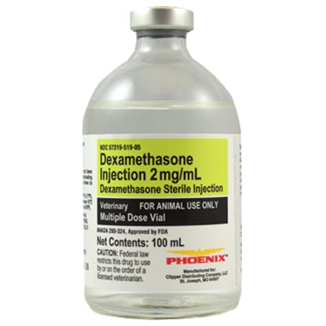 Dexamethasone 2 mg/mL Injection