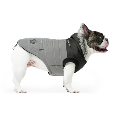 Canada Pooch True North Dog Parka Reflective