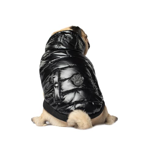 Canada Pooch Black Shiny Puffer Vest for Dogs Size 8