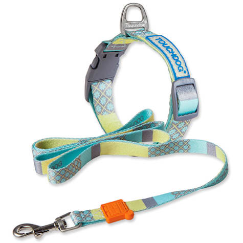 Touchdog Blue 'Trendzy' 2-in-1 Matching Fashion Designer Printed Dog Leash and Collar