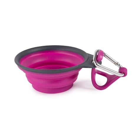 Dexas Fuchsia Travel Cups with Bottle Holder & Carabiner for Dogs