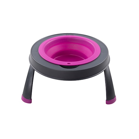Dexas Fuchsia Single Elevated Feeder for Dogs