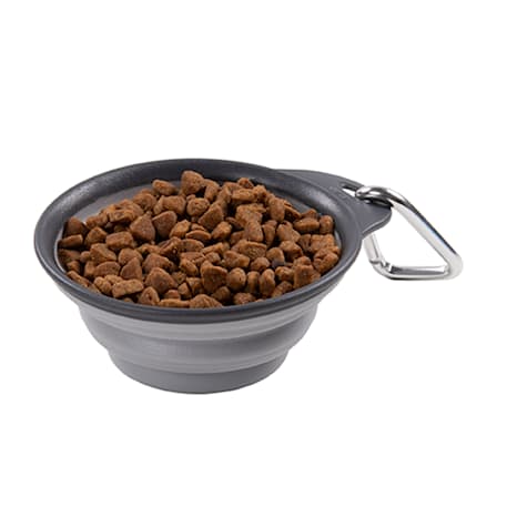 Dexas Light Gray Collapsible Travel Cup for Dogs