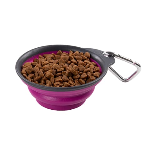 Dexas Fuchsia Collapsible Travel Cup for Dogs