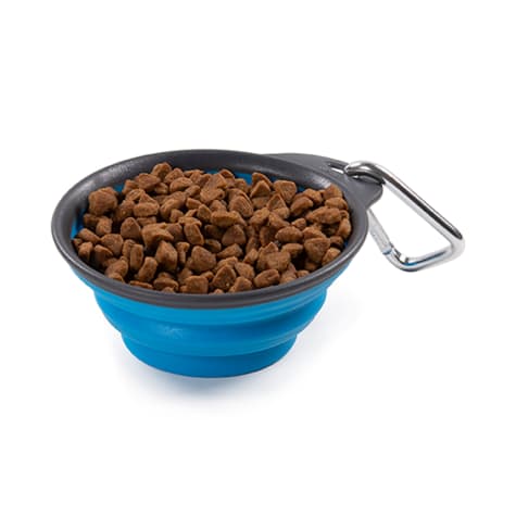 Dexas Pro Blue Collapsible Travel Cup for Dogs
