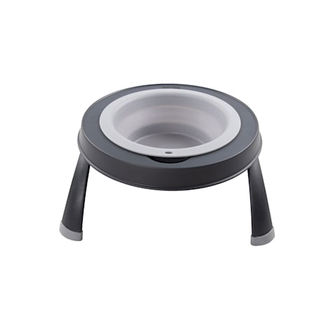 Dexas Light Gray Single Elevated Feeder for Dogs