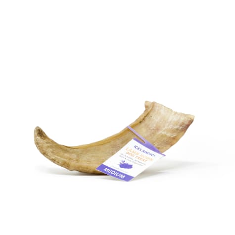 Icelandic+ Small With Marrow Lamb Horn Dog Treats