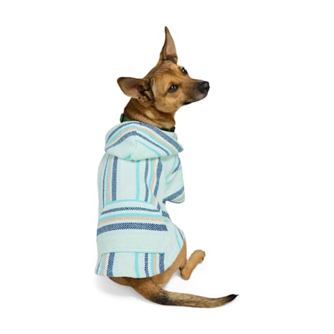 YOULY Mint/Navy Baja Dog Hoodie