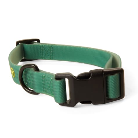 Backcountry x Petco The Green Dog Collar