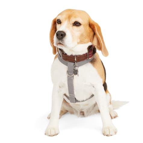 Reddy Grey Reflective Dog Harness