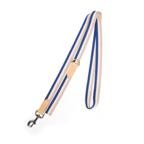 YOULY Blue & Tan Stripe Dog Leash