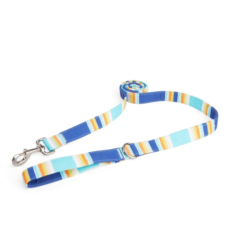 YOULY Blue & Orange Stripe Dog Leash