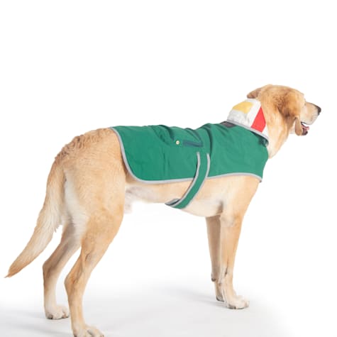 Pendleton Green Dog Rain Coat
