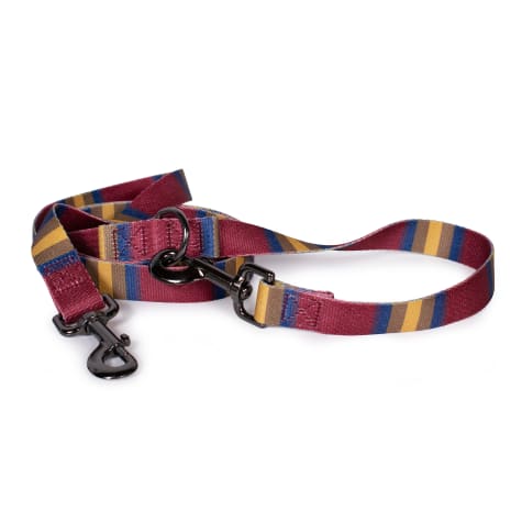 Pendleton National Park Adventure Dog Leash