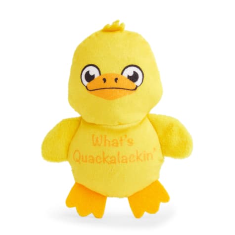 Petco Plush Duck Dog Toy