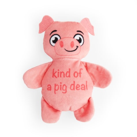 Petco Plush Pig Dog Toy