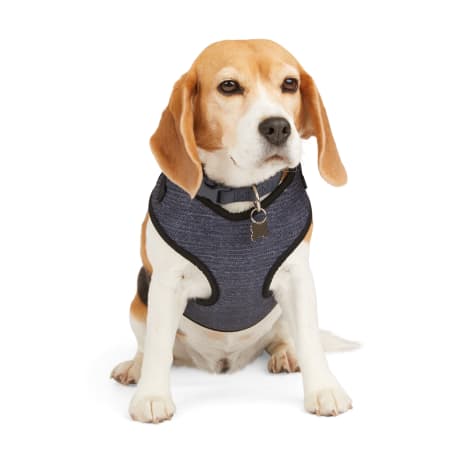 EveryYay Heather Pullover Dog Harness