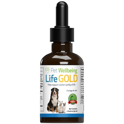Pet Wellbeing Life Gold Natural Cat Cancer Support Supplement