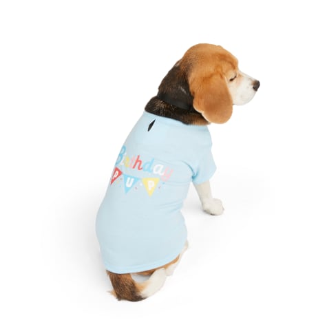 YOULY Birthday Pup Dog Tee