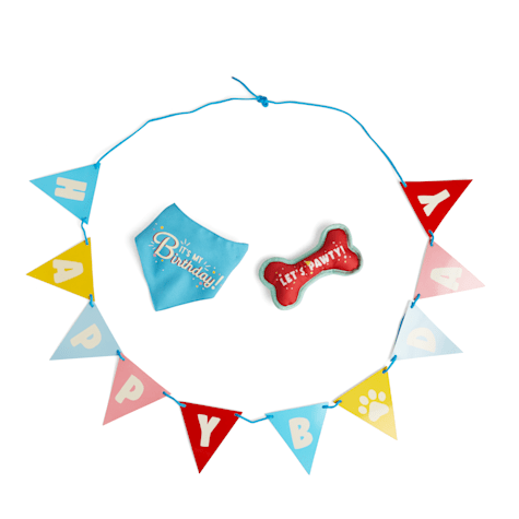 YOULY Birthday Photobooth Kit for Dog