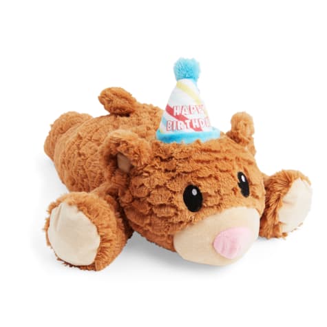 YOULY Birthday Snuggles Plush Dog Toy