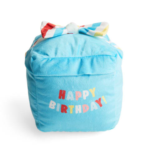 YOULY 2-in-1 Birthday Gift Dog Toy