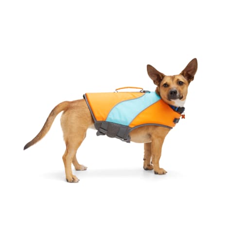 YOULY Orange/Blue Dog Float