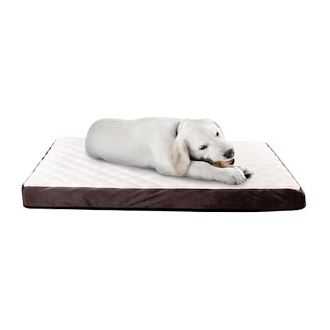 Pet Adobe Orthopedic Pet Bed