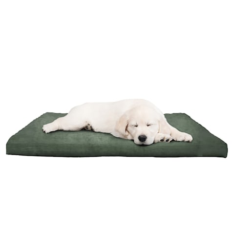 Pet Adobe Foam Pet Bed