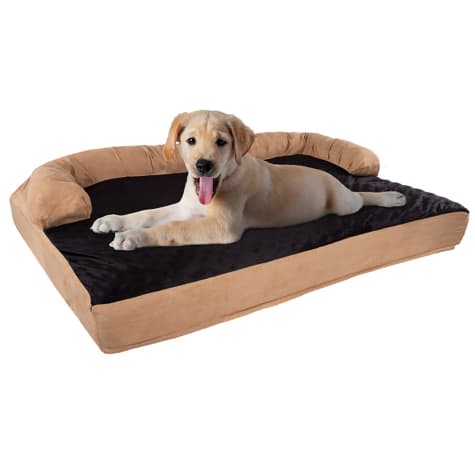 Pet Adobe Black Orthopedic Memory Foam Pet Bed