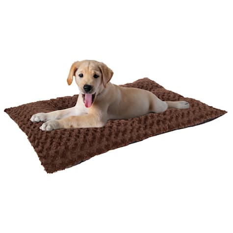 Pet Adobe Chocolate Cushioned Pillow Pet Bed