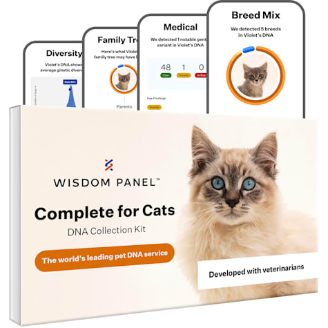 Wisdom Panel Complete Cat DNA Test