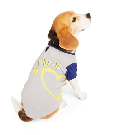 YOULY Two of a Kind Left Matching Dog Tee
