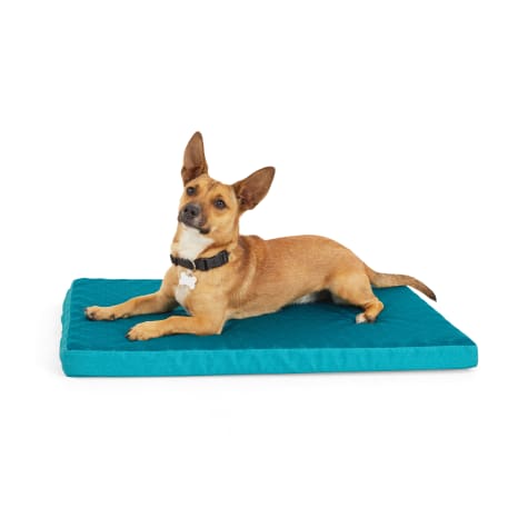 EveryYay Teal Cool Orthopedic Dog Crate Mat
