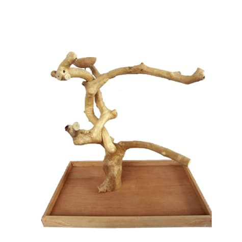 A&E Cage Company Java Wood Table Top Play Stand
