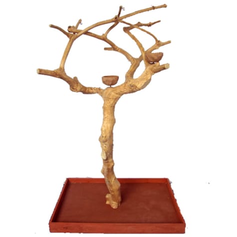 A&E Cage Company Small Java Wood Boxed Tree