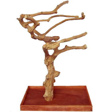 A&E Cage Company Large Java Wood Boxed Tree