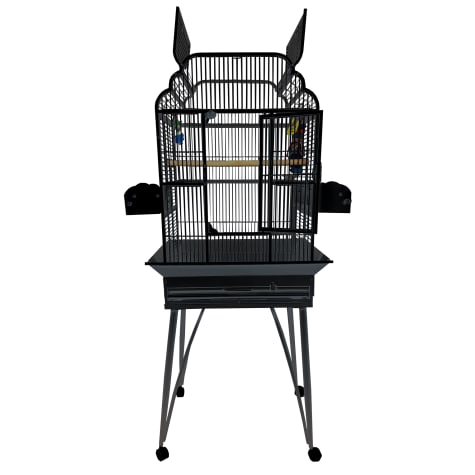 A&E Cage Company 2217 Victorian Open Top Cage in Black