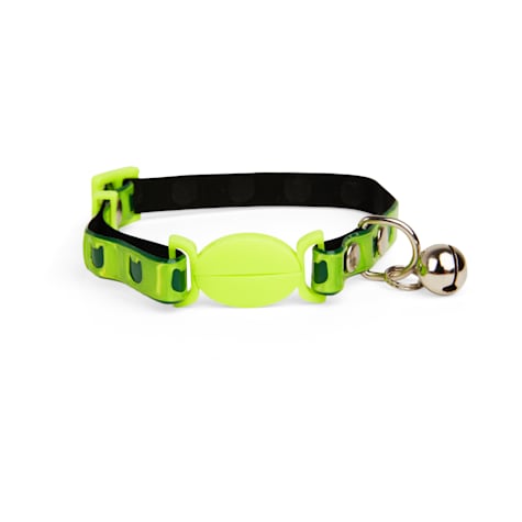 YOULY Neon Kitten & Cat Collar