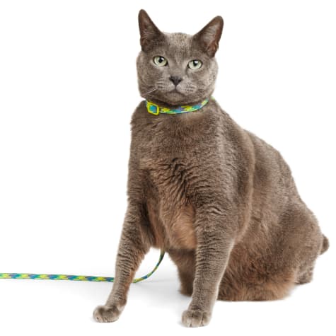YOULY Green & Silver Rope Cat Harness & Leash Set