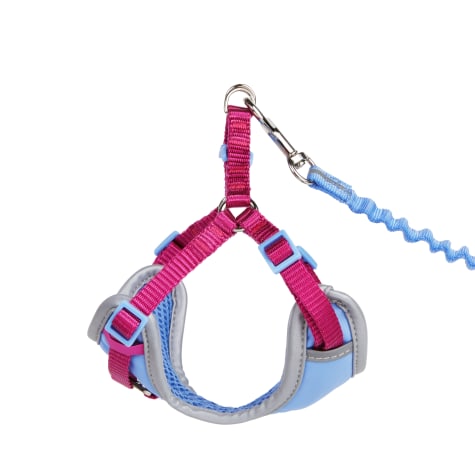 YOULY Reflective Utility Cat & Large Cat Harness & Leash Set