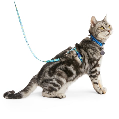 YOULY Space Kitten Harness & Leash Set