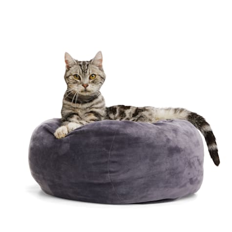 EveryYay Essentials Charcoal Orthopedic Cuddler Cat Bed