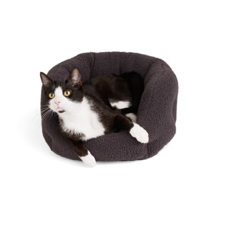 EveryYay Charcoal Boucle Cuddler Cat Bed