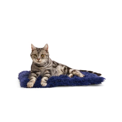 EveryYay Navy Fuzzy Cat Bed