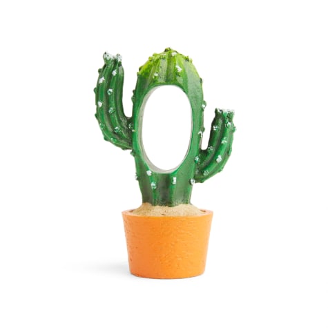 Imagitarium Terracotta Cactus