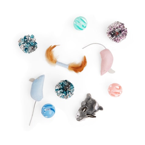 Leaps & Bounds Kitten Multipack Cat Toy